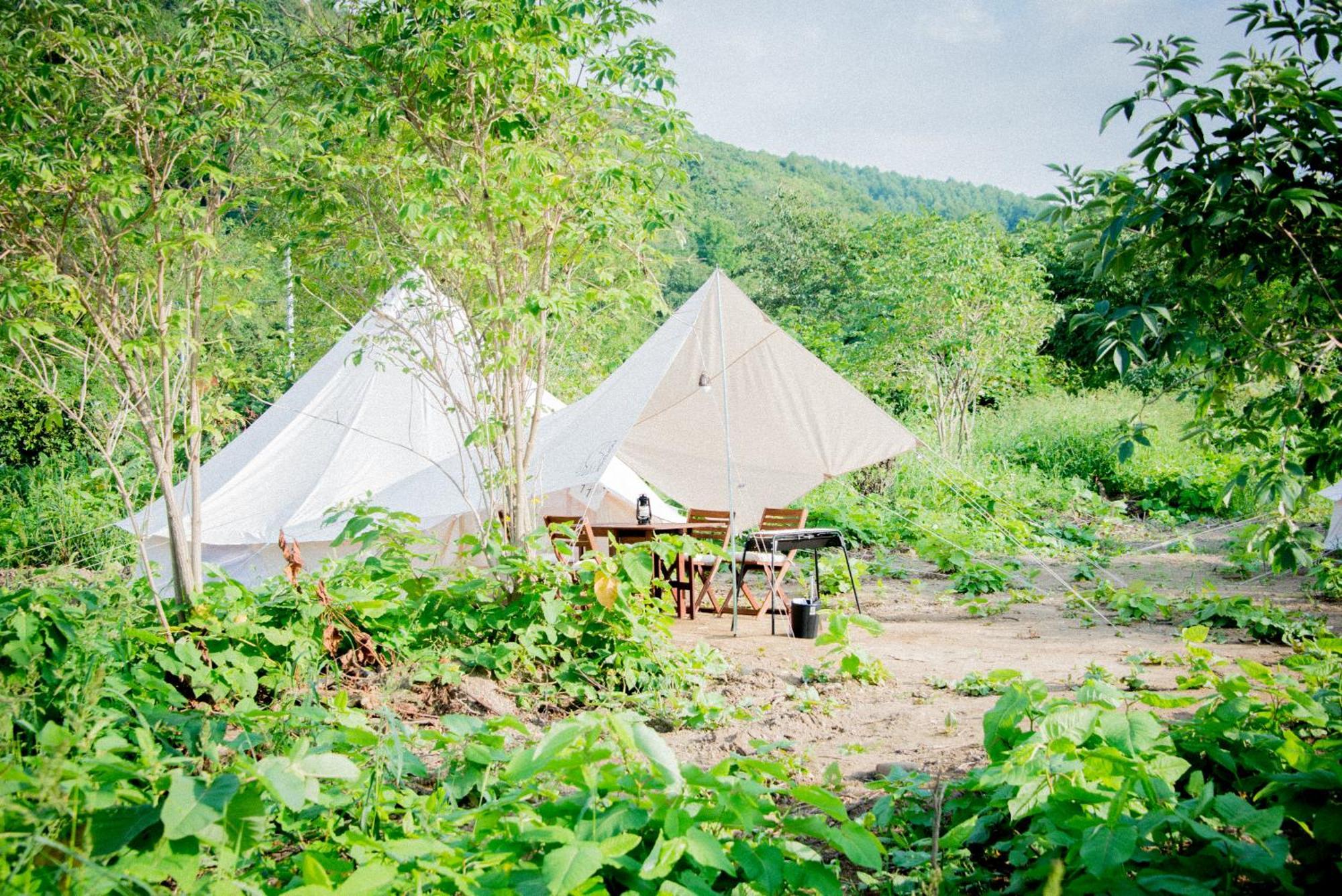 Yoichi Vineyard Glamping Hotel Ngoại thất bức ảnh