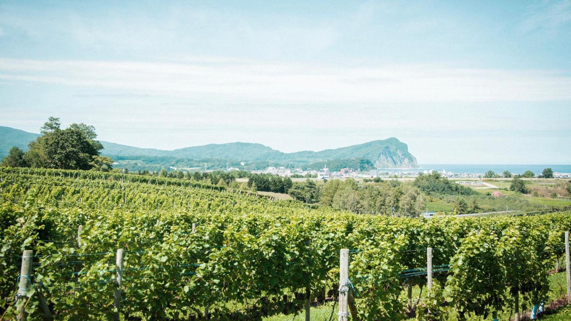 Yoichi Vineyard Glamping Hotel Ngoại thất bức ảnh